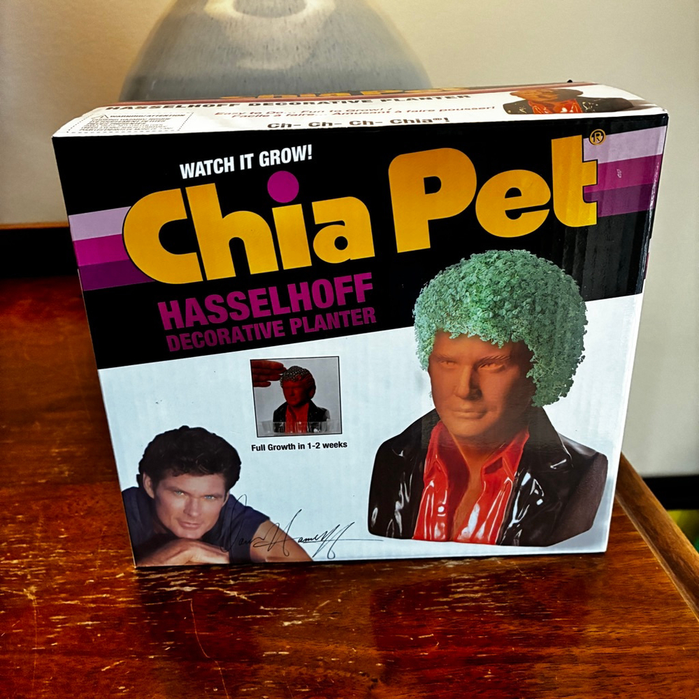 David Hasselhoff “The Hoff” Chia Pet Pottery Planter - Knight Rider New In Box